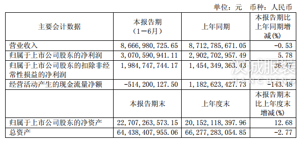 雅戈?duì)柗b營(yíng)收首次下滑 自營(yíng)和商場(chǎng)網(wǎng)點(diǎn)成主因